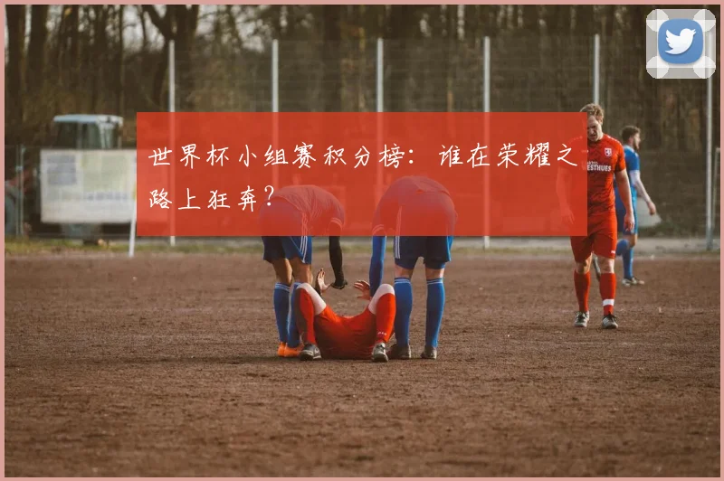 世界杯小组赛积分榜：谁在荣耀之路上狂奔？
