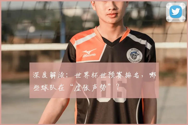 深度解读:世界杯世预赛排名,哪些球队在“虚张声势”?