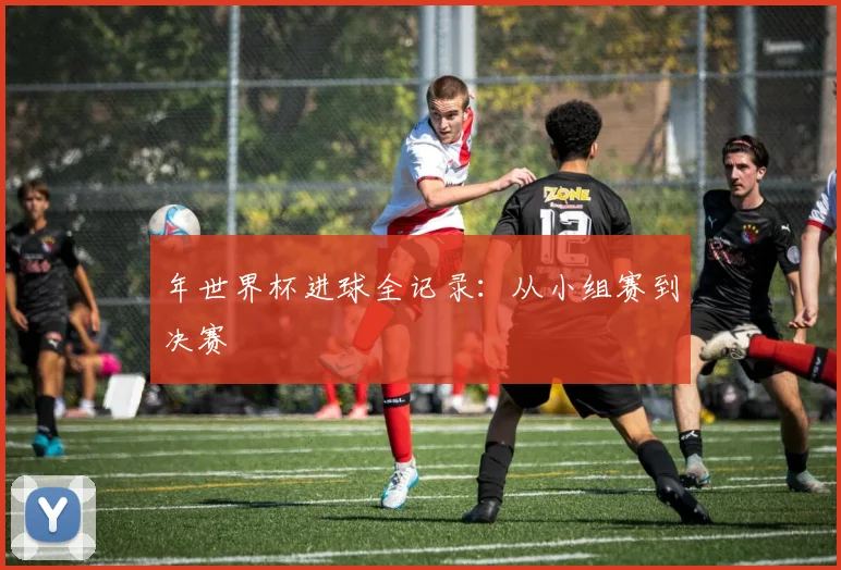 年世界杯进球全记录：从小组赛到决赛