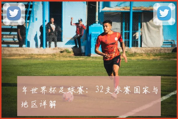 年世界杯足球赛：32支参赛国家与地区详解