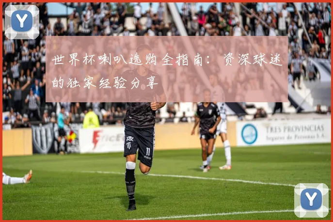 世界杯喇叭选购全指南:资深球迷的独家经验分享