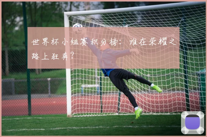 世界杯小组赛积分榜：谁在荣耀之路上狂奔？