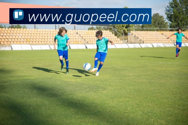 开云官方体育app官网平台生态图