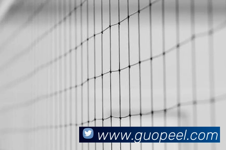 开云官方体育app官网APP 封面图